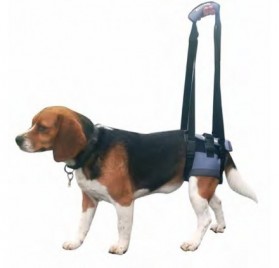 Arnés Handy Patas Traseras