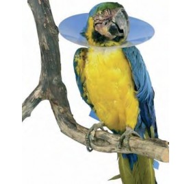 Collares Protectores para Aves