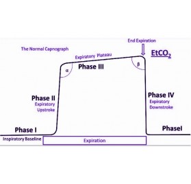 Módulo CO2 Respironics LoFlo