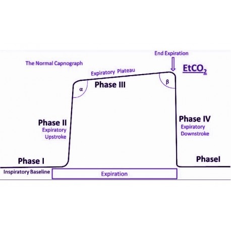 Módulo CO2 Respironics LoFlo