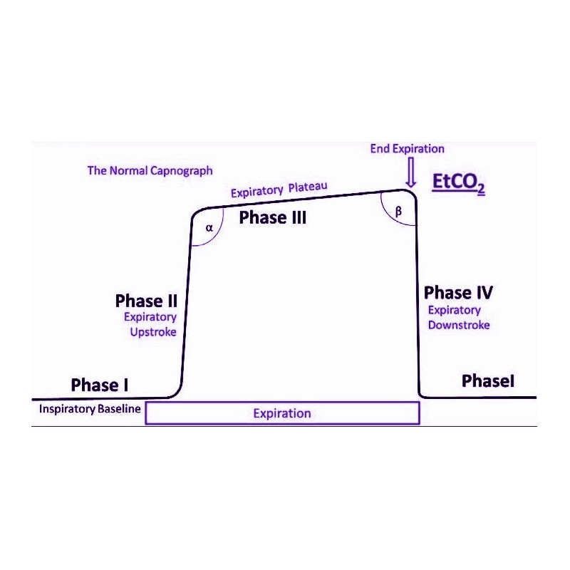 Módulo CO2 Respironics LoFlo
