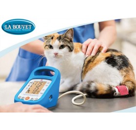 Monitor de Presion Arterial