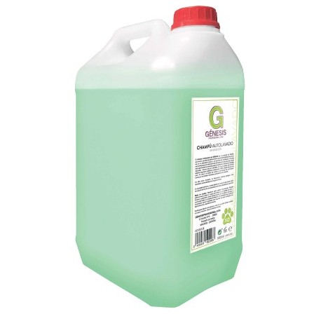 Chámpu GÉNESIS Autolavado 5 Litros