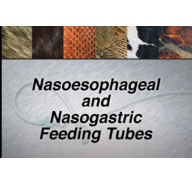 Video Colocación Tubos Nasogástricos
