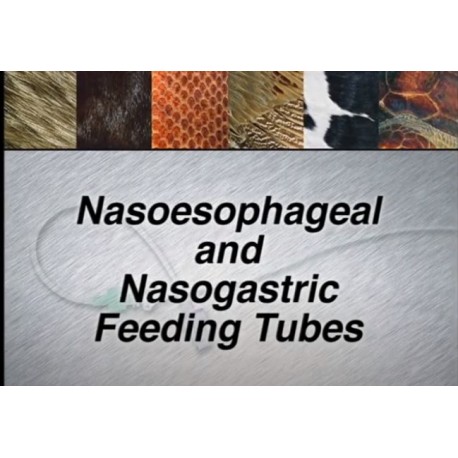 Video Colocación Tubos Nasogástricos