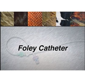 Video Colocación Sondas Foley