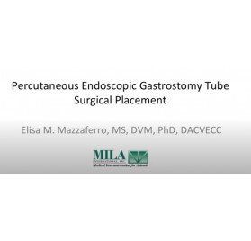 Video Kit Gastrotomía