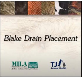 Implantación Drenaje Blake