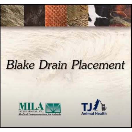 Implantación Drenaje Blake