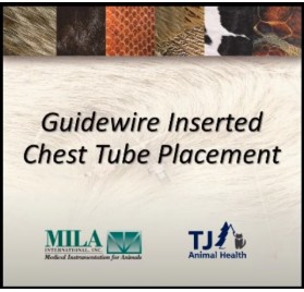 Implantación Drenajes Torácicos