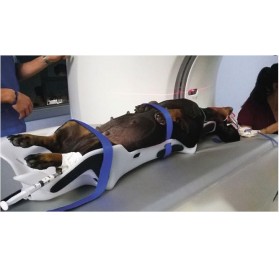 Kit de Posicionadores para Cirugías y Radiografías