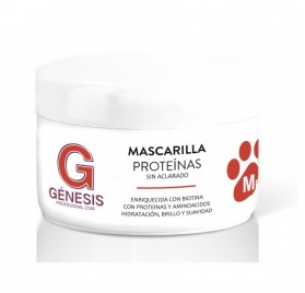 Mascarilla GENESIS Proteína 5 Kg.