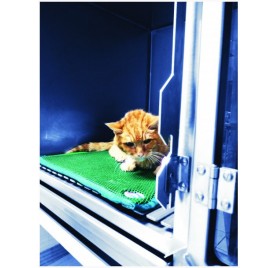 Cosypad Green 55x71cm