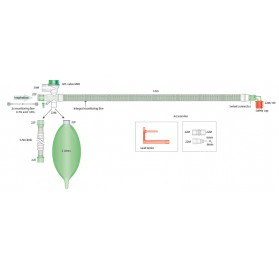 Circuito Coaxial Bain 1,6 m