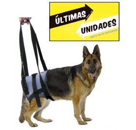 Arnés Handy Patas Traseras...