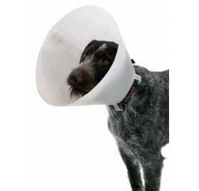 Collar BUSTER CLASSIC...