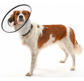 Collar BUSTER COMFORT (5Uds.)