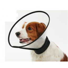 Collar Isabelino BUSTER...