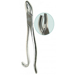 Extractor Dental para...