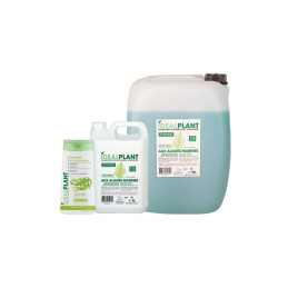 Champú IDEALPLANT Algas...