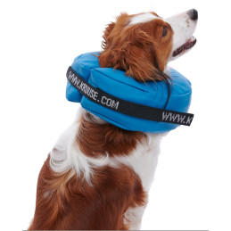 Collar Inflable Buster PVC