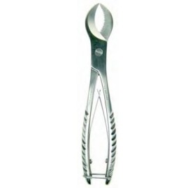 Caudótomo HOFFMANN 20 cm.