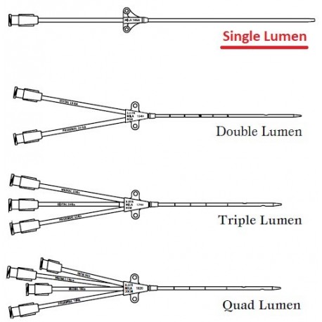 Single Lumen