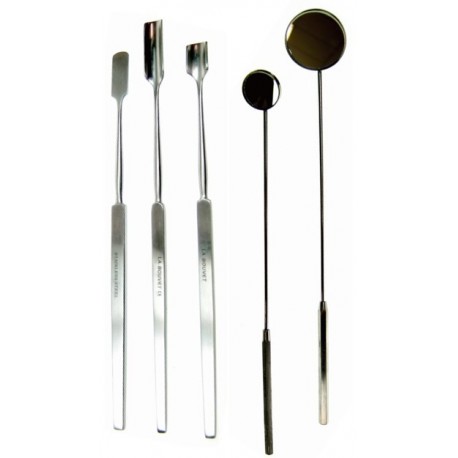 Espejos y Espátulas Dentales