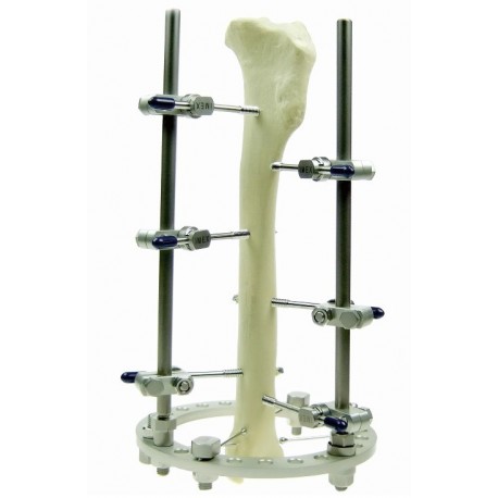 Traumatología Outlet