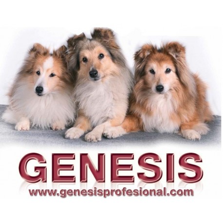 Champú GENESIS
