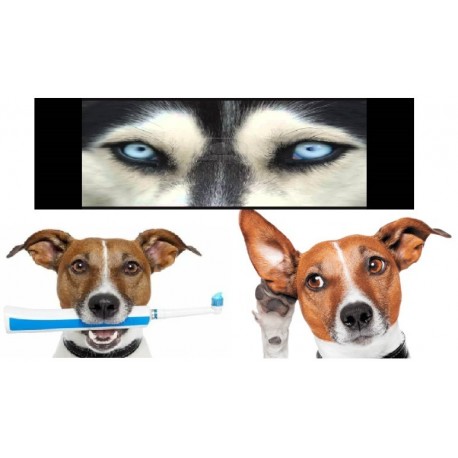 Ojos, Oídos y Dientes