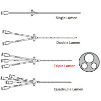 Triple Lumen con Línea de Extensión Integrada